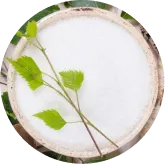 MemoVolt™ Xylitol for clean brain fuel support